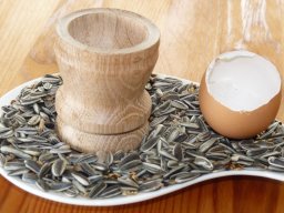 Frühstück mit Eiche